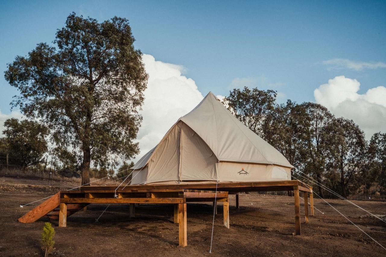 Lago Valle Wine Glamping Valle de Guadalupe Kültér fotó