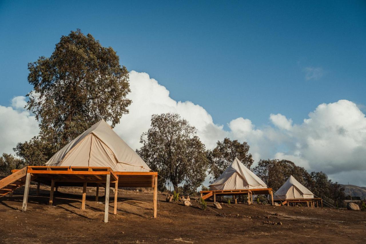 Lago Valle Wine Glamping Valle de Guadalupe Kültér fotó