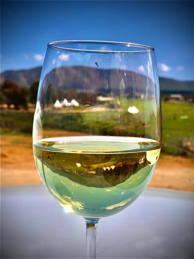 Lago Valle Wine Glamping Valle de Guadalupe Kültér fotó