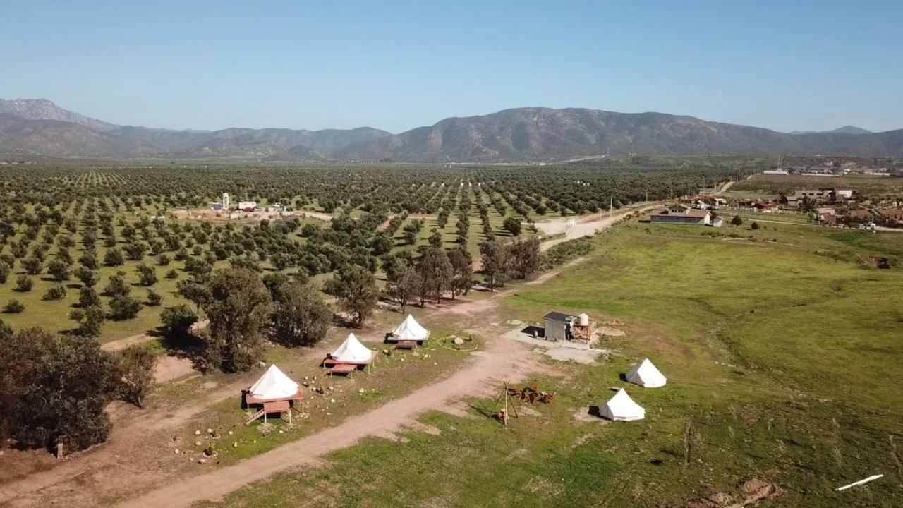 Lago Valle Wine Glamping Valle de Guadalupe Kültér fotó