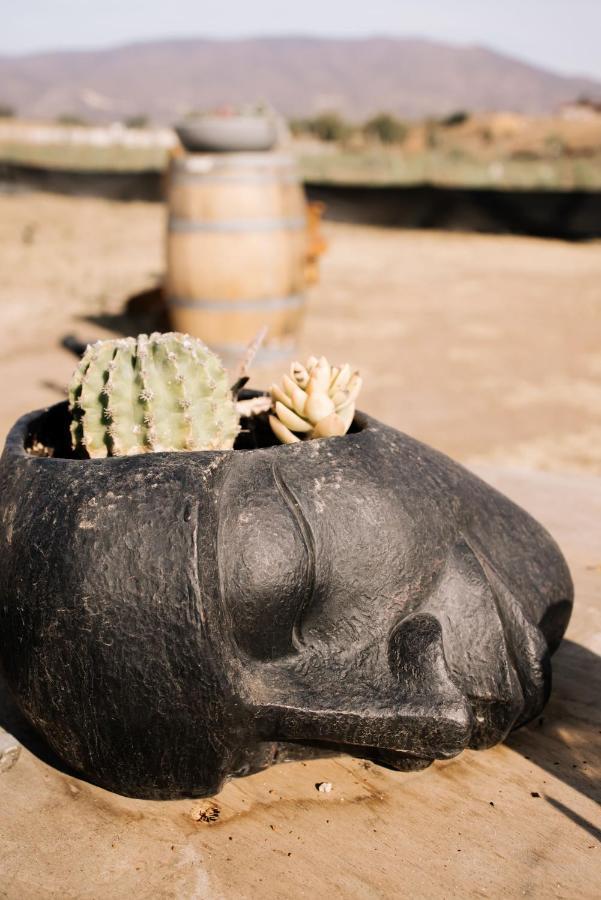 Lago Valle Wine Glamping Valle de Guadalupe Kültér fotó