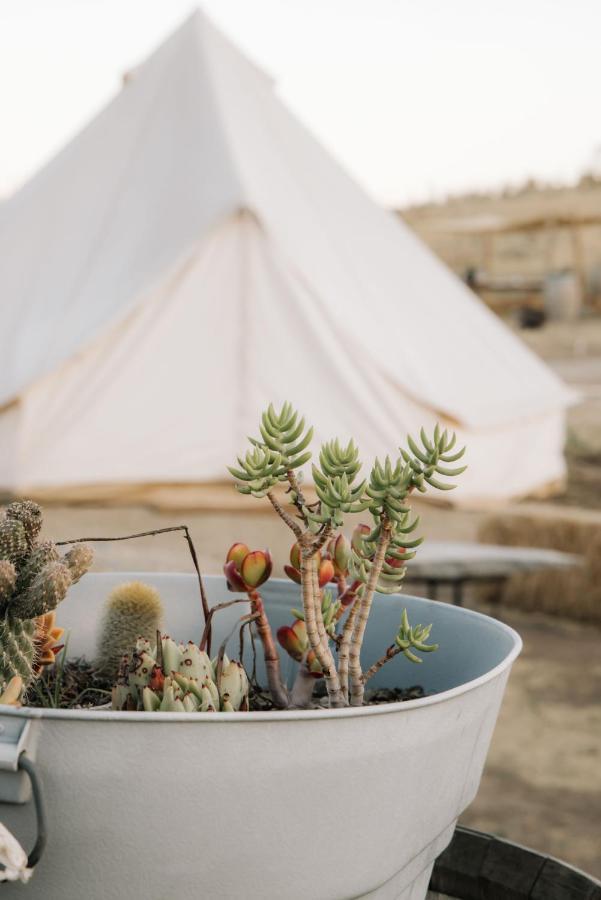 Lago Valle Wine Glamping Valle de Guadalupe Kültér fotó