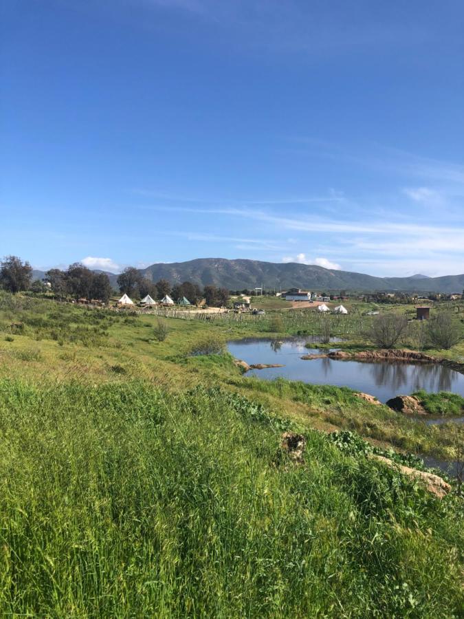 Lago Valle Wine Glamping Valle de Guadalupe Kültér fotó