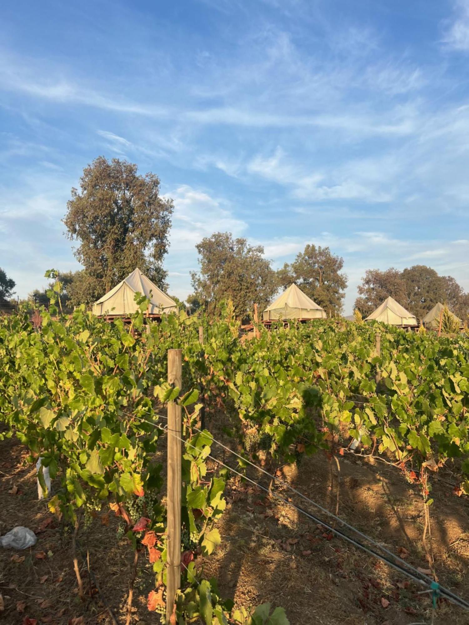Lago Valle Wine Glamping Valle de Guadalupe Kültér fotó